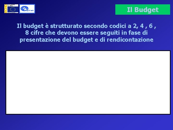 Il Budget Il budget è strutturato secondo codici a 2, 4 , 6 ,