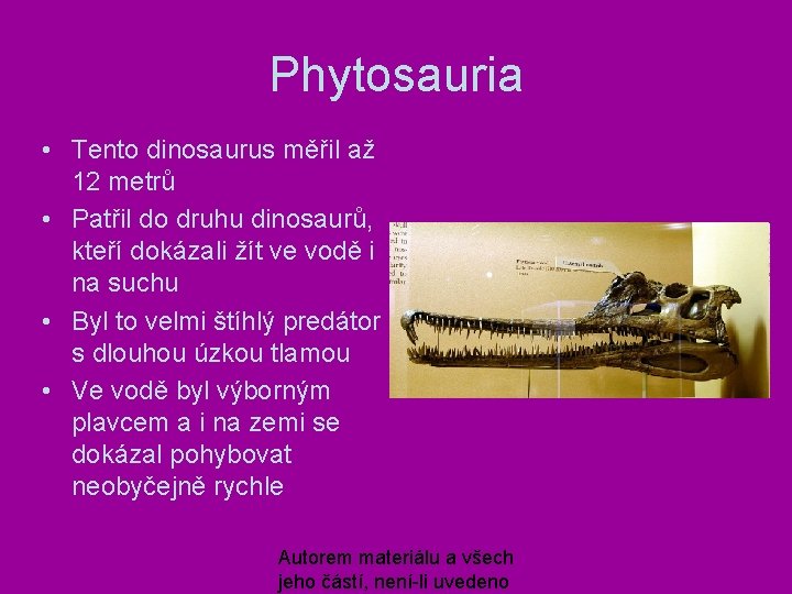 Phytosauria • Tento dinosaurus měřil až 12 metrů • Patřil do druhu dinosaurů, kteří