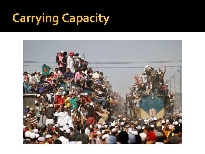 Carrying Capacity 
