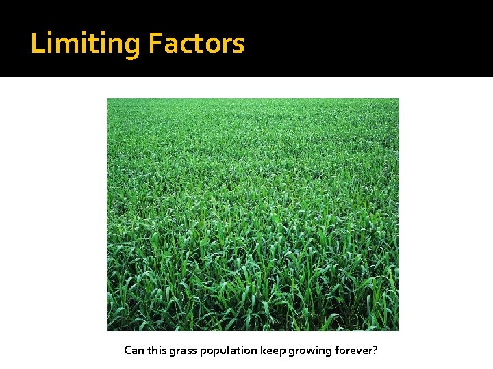 Limiting Factors Can this grass population keep growing forever? 