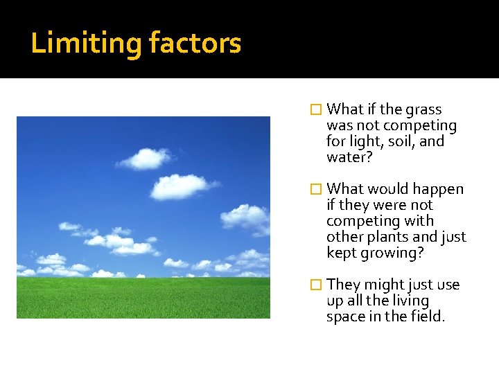 Limiting factors � What if the grass was not competing for light, soil, and