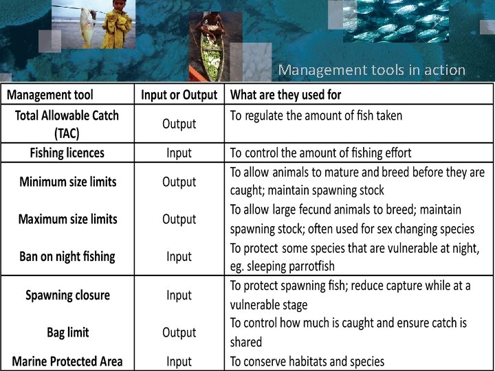 Management tools in action 7 Management tools in action 7