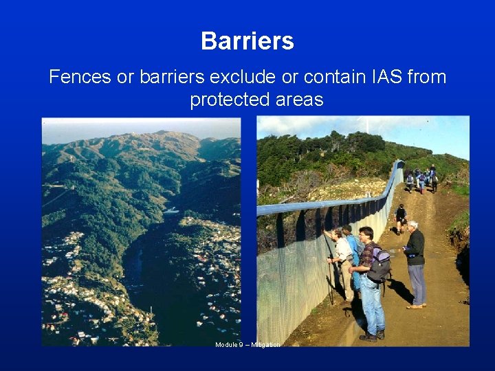 Barriers Fences or barriers exclude or contain IAS from protected areas Module 9 –