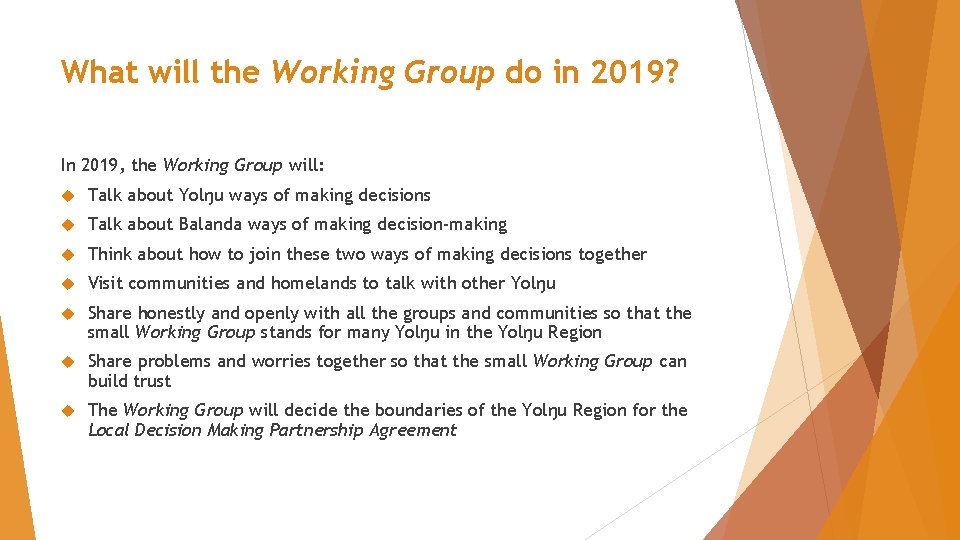 What will the Working Group do in 2019? In 2019, the Working Group will: