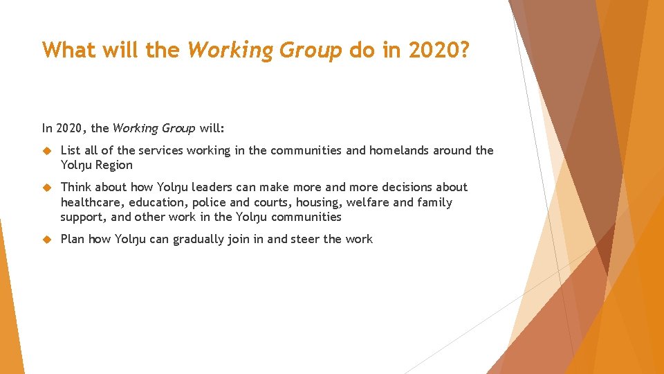 What will the Working Group do in 2020? In 2020, the Working Group will: