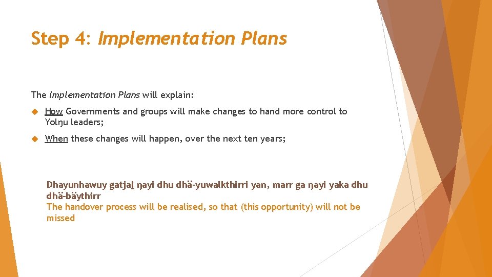 Step 4: Implementation Plans The Implementation Plans will explain: How Governments and groups will
