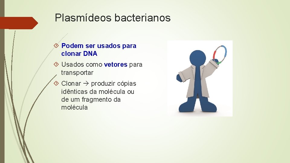 Plasmídeos bacterianos Podem ser usados para clonar DNA Usados como vetores para transportar Clonar