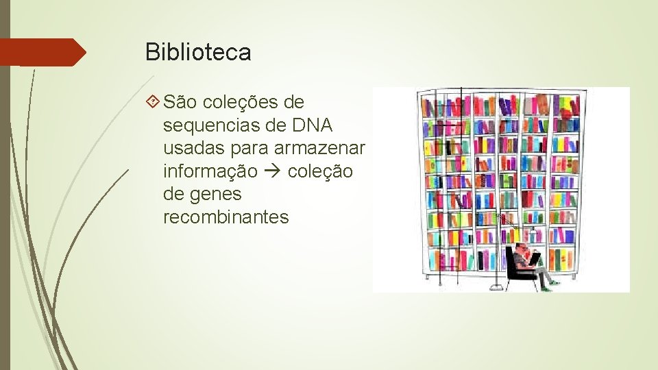 Biblioteca São coleções de sequencias de DNA usadas para armazenar informação coleção de genes