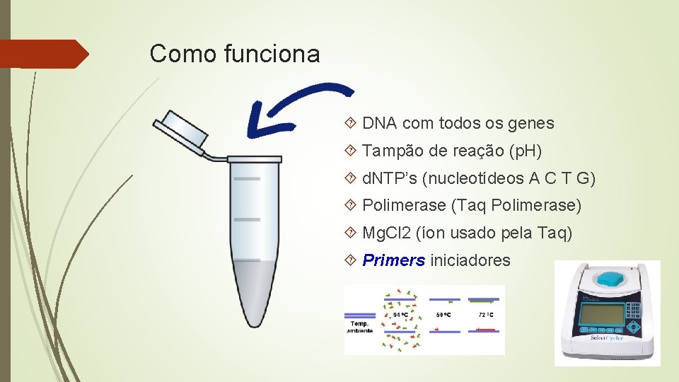 Como funciona DNA com todos os genes Tampão de reação (p. H) d. NTP’s