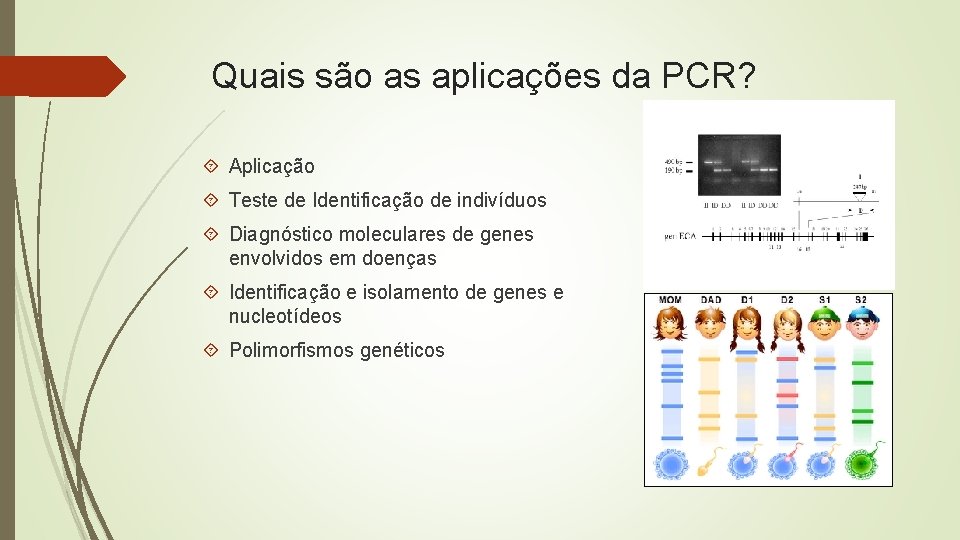 Quais são as aplicações da PCR? Aplicação Teste de Identificação de indivíduos Diagnóstico moleculares