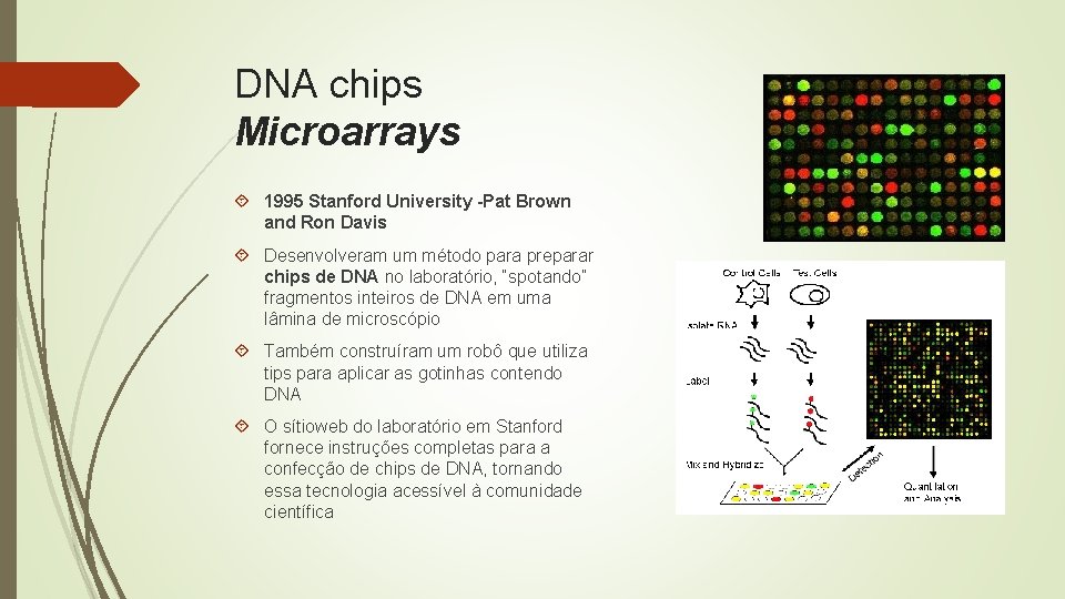 DNA chips Microarrays 1995 Stanford University -Pat Brown and Ron Davis Desenvolveram um método