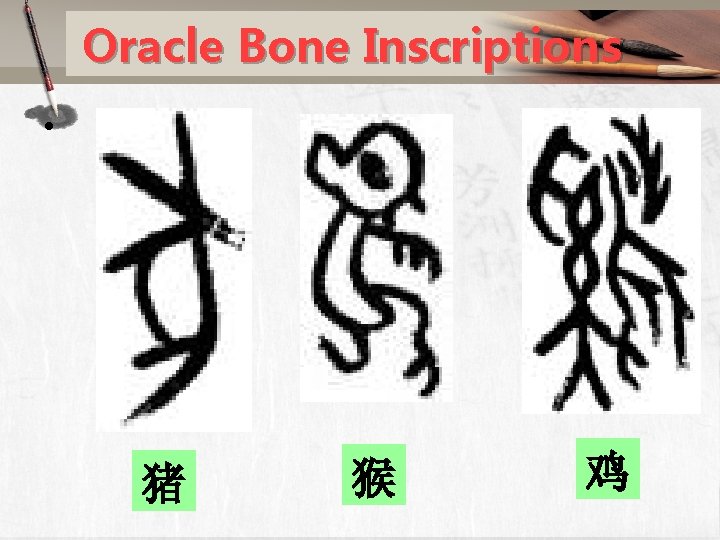 Oracle Bone Inscriptions • 猪 猴 鸡 