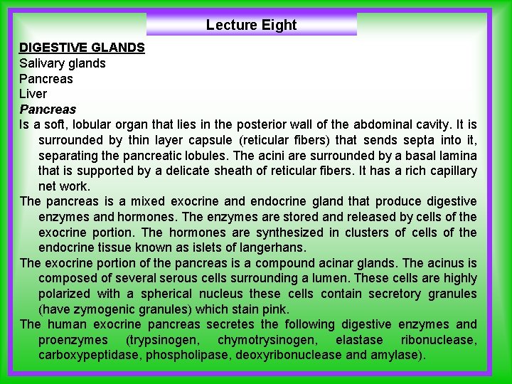 Lecture Eight DIGESTIVE GLANDS Salivary glands Pancreas Liver Pancreas Is a soft, lobular organ