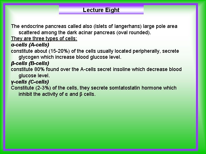 Lecture Eight The endocrine pancreas called also (islets of langerhans) large pole area scattered