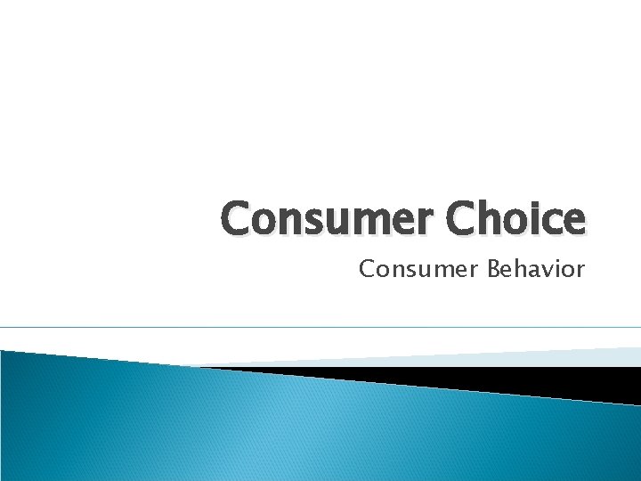 Consumer Choice Consumer Behavior 