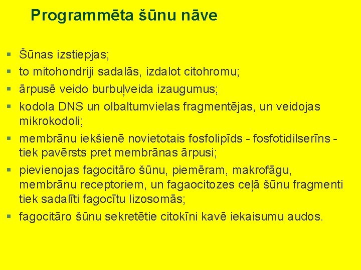 Programmēta šūnu nāve § § Šūnas izstiepjas; to mitohondriji sadalās, izdalot citohromu; ārpusē veido