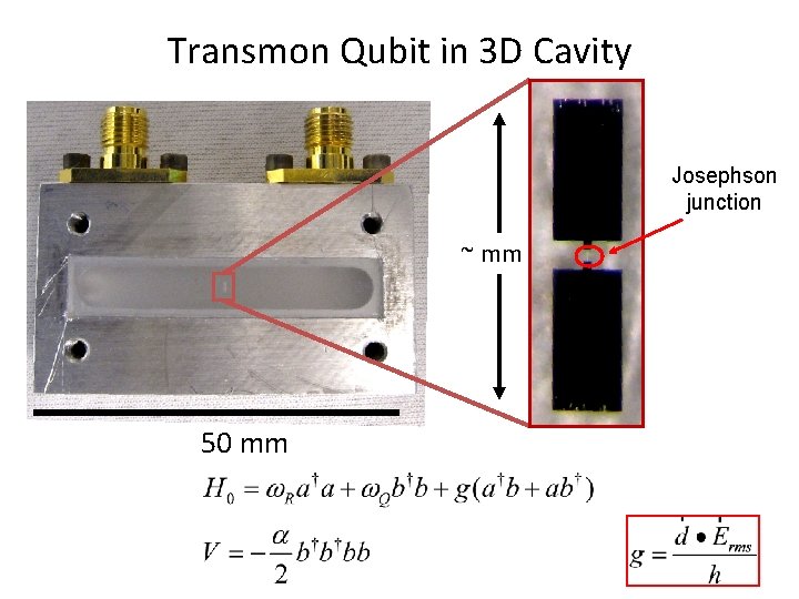 Transmon Qubit in 3 D Cavity Josephson junction ~ mm 50 mm spi n Transmon Qubit in 3 D Cavity Josephson junction ~ mm 50 mm spi n