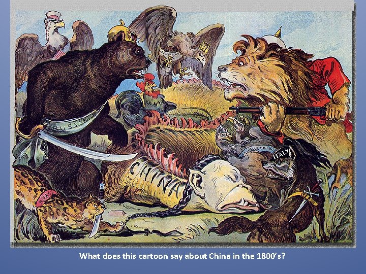 What does this cartoon say about China in the 1800’s? 