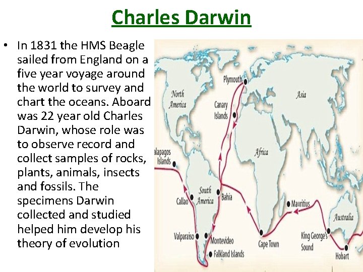 Charles Darwin • In 1831 the HMS Beagle sailed from England on a five