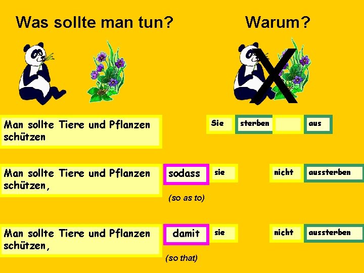 Was sollte man tun? Man sollte Tiere und Pflanzen schützen, Warum? Sie sodass X