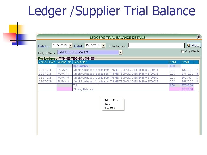 Ledger /Supplier Trial Balance 