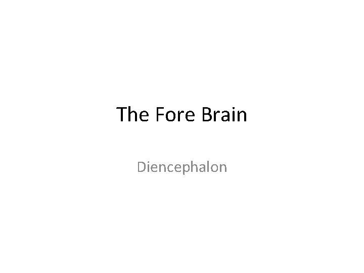 The Fore Brain Diencephalon 