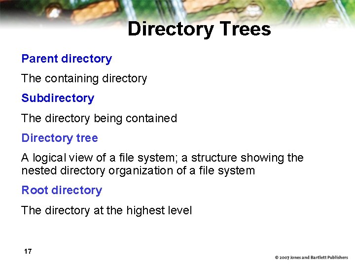 Directory Trees Parent directory The containing directory Subdirectory The directory being contained Directory tree