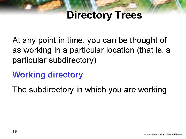 Directory Trees At any point in time, you can be thought of as working