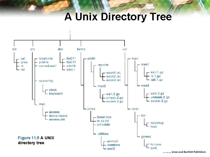 A Unix Directory Tree Figure 11. 5 A Unix directory tree Figure 11. 5