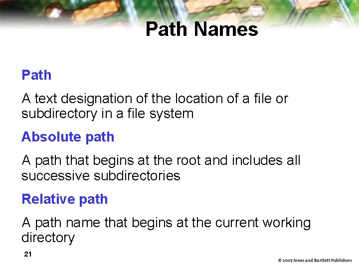 Path Names Path A text designation of the location of a file or subdirectory