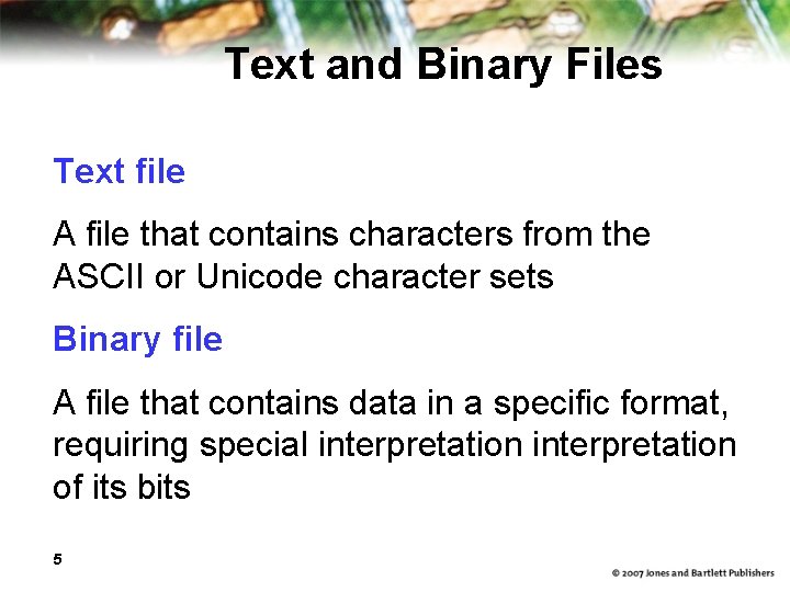 Text and Binary Files Text file A file that contains characters from the ASCII