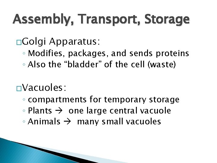 Assembly, Transport, Storage �Golgi Apparatus: ◦ Modifies, packages, and sends proteins ◦ Also the