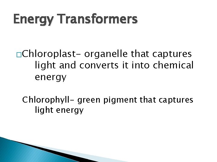 Energy Transformers �Chloroplast- organelle that captures light and converts it into chemical energy Chlorophyll-