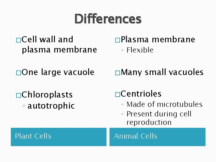 Differences � Cell wall and plasma membrane � One large vacuole � Plasma membrane