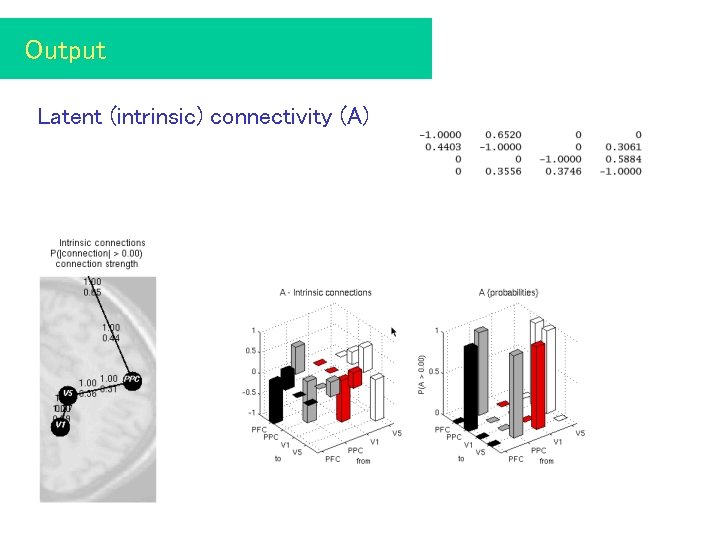 Output Latent (intrinsic) connectivity (A) 