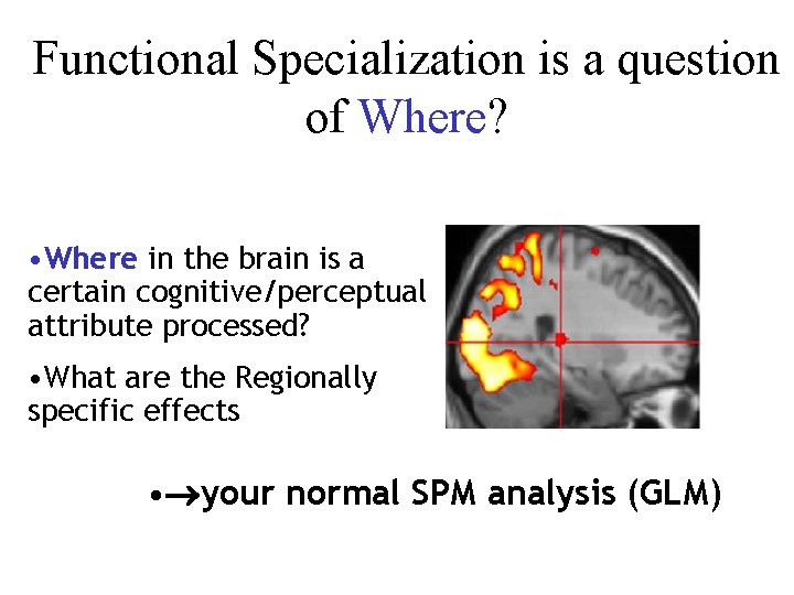 Functional Specialization is a question of Where? • Where in the brain is a