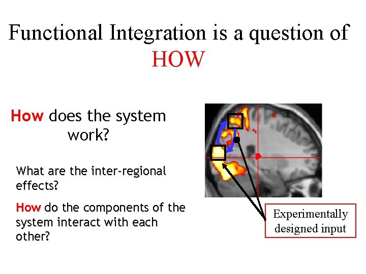 Functional Integration is a question of HOW How does the system work? What are