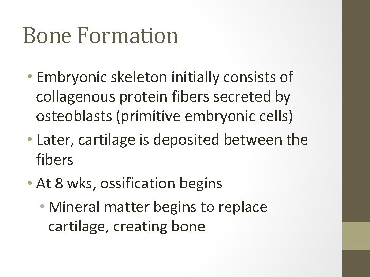 The Skeletal System Health Science I Bone Facts