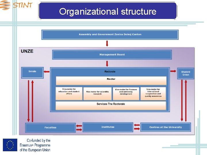 Organizational structure 