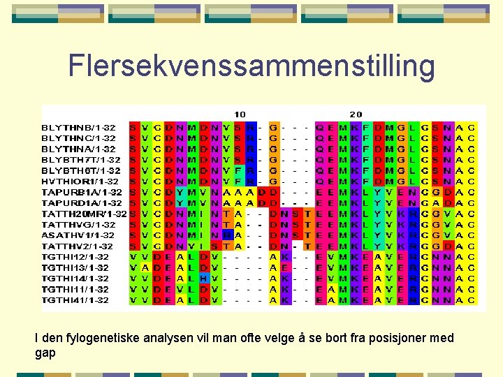 Flersekvenssammenstilling I den fylogenetiske analysen vil man ofte velge å se bort fra posisjoner