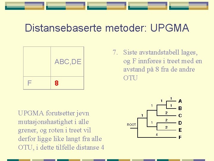 Distansebaserte metoder: UPGMA ABC, DE F 8 UPGMA forutsetter jevn mutasjonshastighet i alle grener,