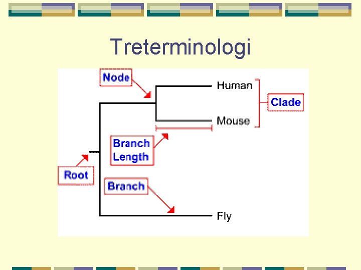 Treterminologi 