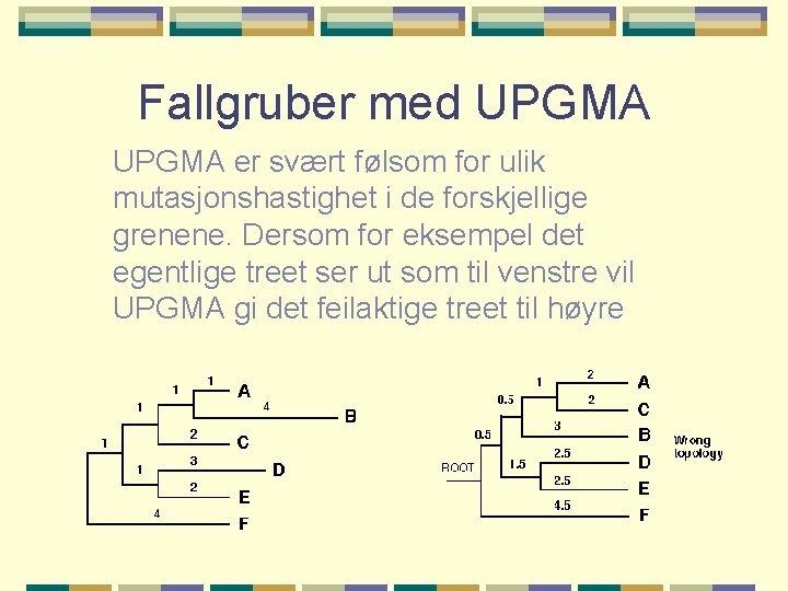 Fallgruber med UPGMA er svært følsom for ulik mutasjonshastighet i de forskjellige grenene. Dersom