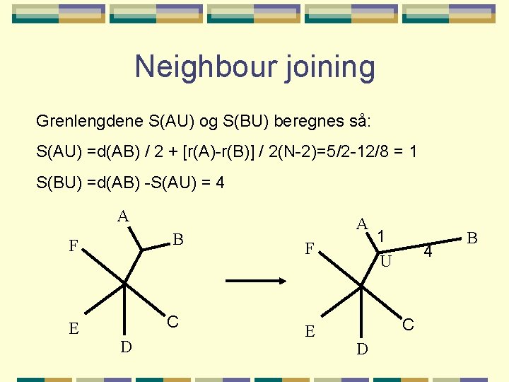 Neighbour joining Grenlengdene S(AU) og S(BU) beregnes så: S(AU) =d(AB) / 2 + [r(A)-r(B)]