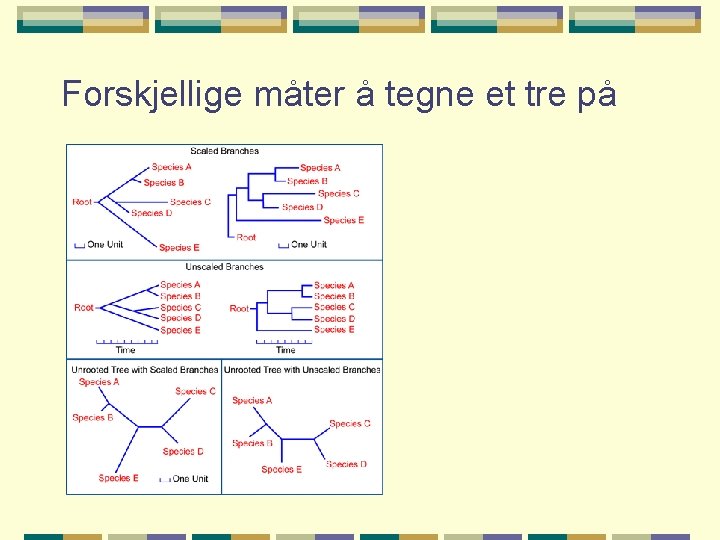 Forskjellige måter å tegne et tre på 