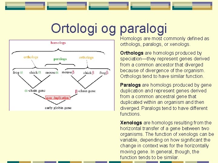 Ortologi og paralogi Homologs are most commonly defined as orthologs, paralogs, or xenologs. Orthologs