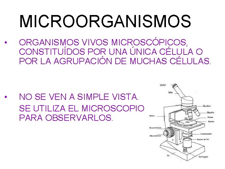 MICROORGANISMOS • ORGANISMOS VIVOS MICROSCÓPICOS, CONSTITUÍDOS POR UNA ÚNICA CÉLULA O POR LA AGRUPACIÓN