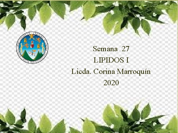 Semana 27 LIPIDOS I Licda. Corina Marroquín 2020 