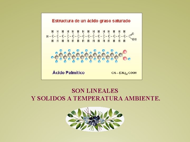 SON LINEALES Y SOLIDOS A TEMPERATURA AMBIENTE. 