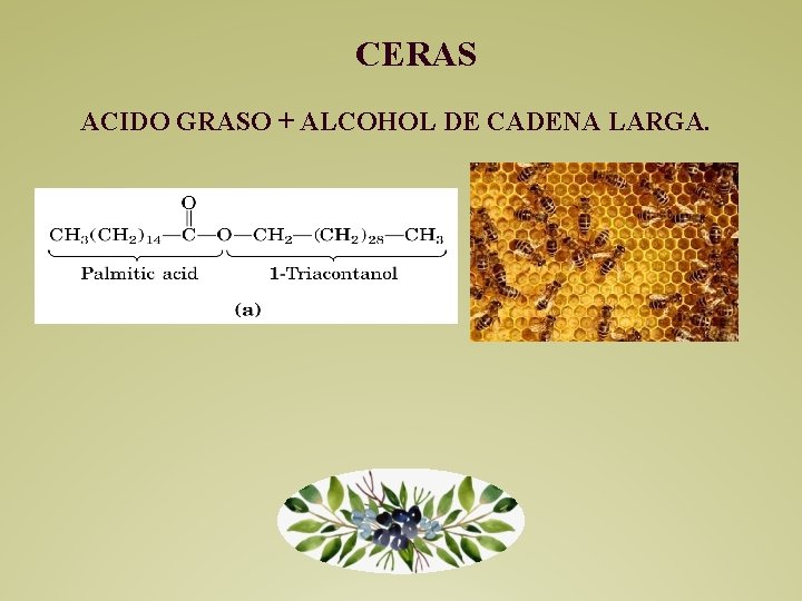 CERAS ACIDO GRASO + ALCOHOL DE CADENA LARGA. 